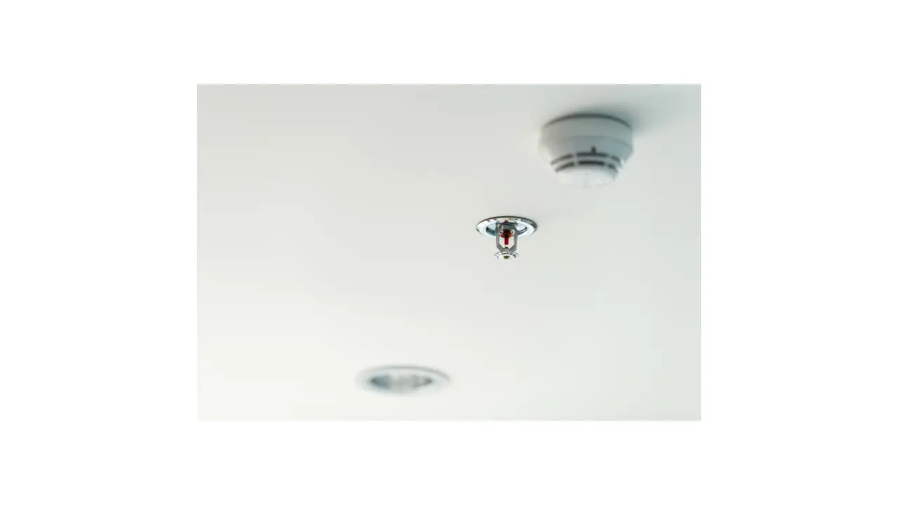 天井には見た目だけの“ダミー”スプリンクラーを取り付け、あたかも設置しているかのように装っていたとされています。